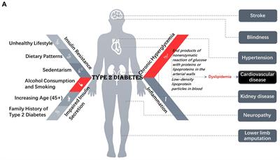 Effects of anthocyanin supplementation in diet on glycemic and related cardiovascular biomarkers in patients with type 2 diabetes: a systematic review and meta-analysis of randomized controlled trials